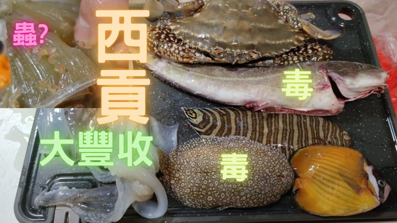 西貢食完飯又去行🤣下午D貨又有唔同,見到樣樣都想買😍第一次見咁大隻白蟹,又買大尾魷,同2條毒魚😍返屋企玩蒸氣鍋👍fishcut~香港海鮮~社長遊街市Hong Kong Seafood Market