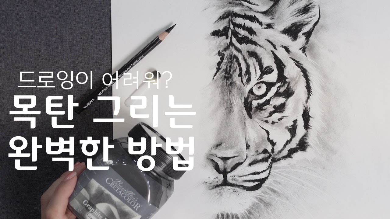 드로잉 마스터 하기! | 검은 호랑이 그리는 완벽한 방법! 이제 약간의 요령을 곁들인? | 목탄드로잉 ::The Perfect Way to Drawing Tiger