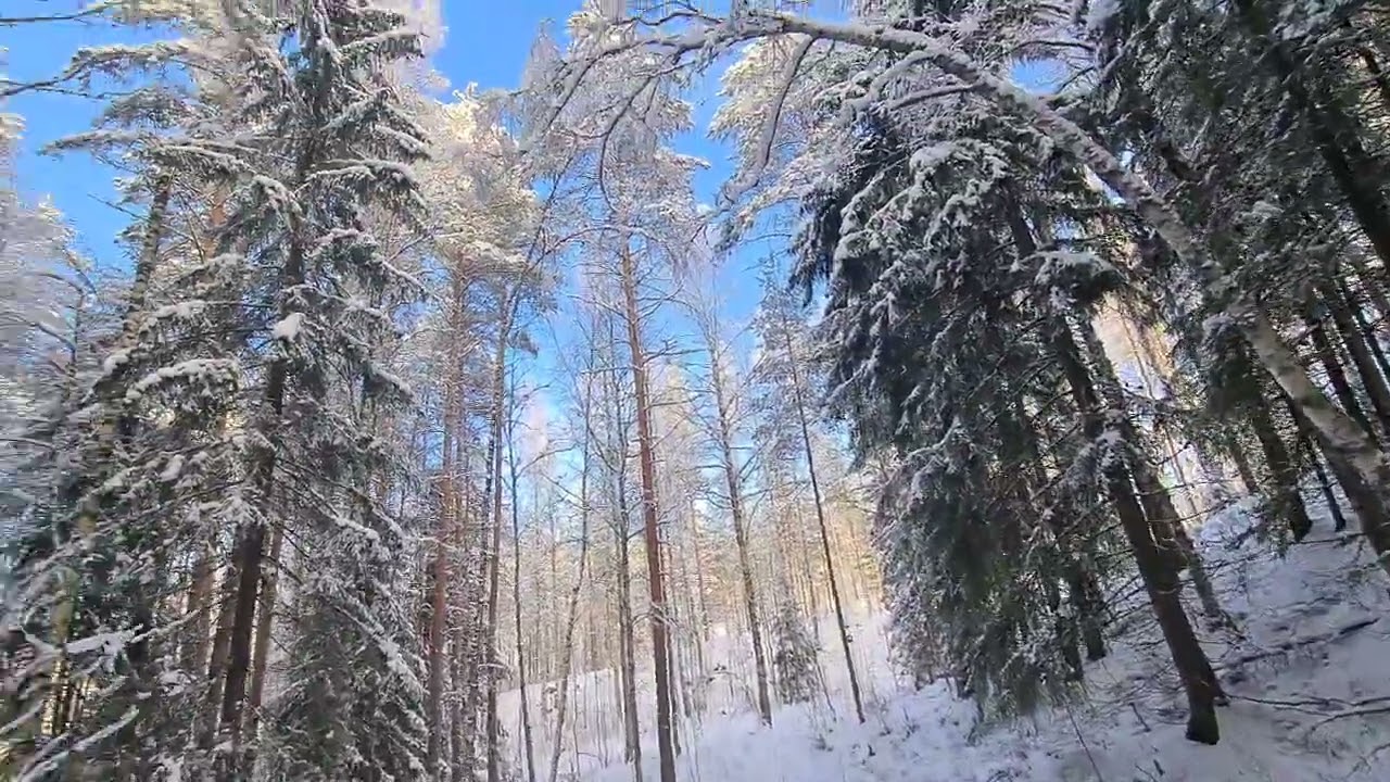 Зима 2026, февраль