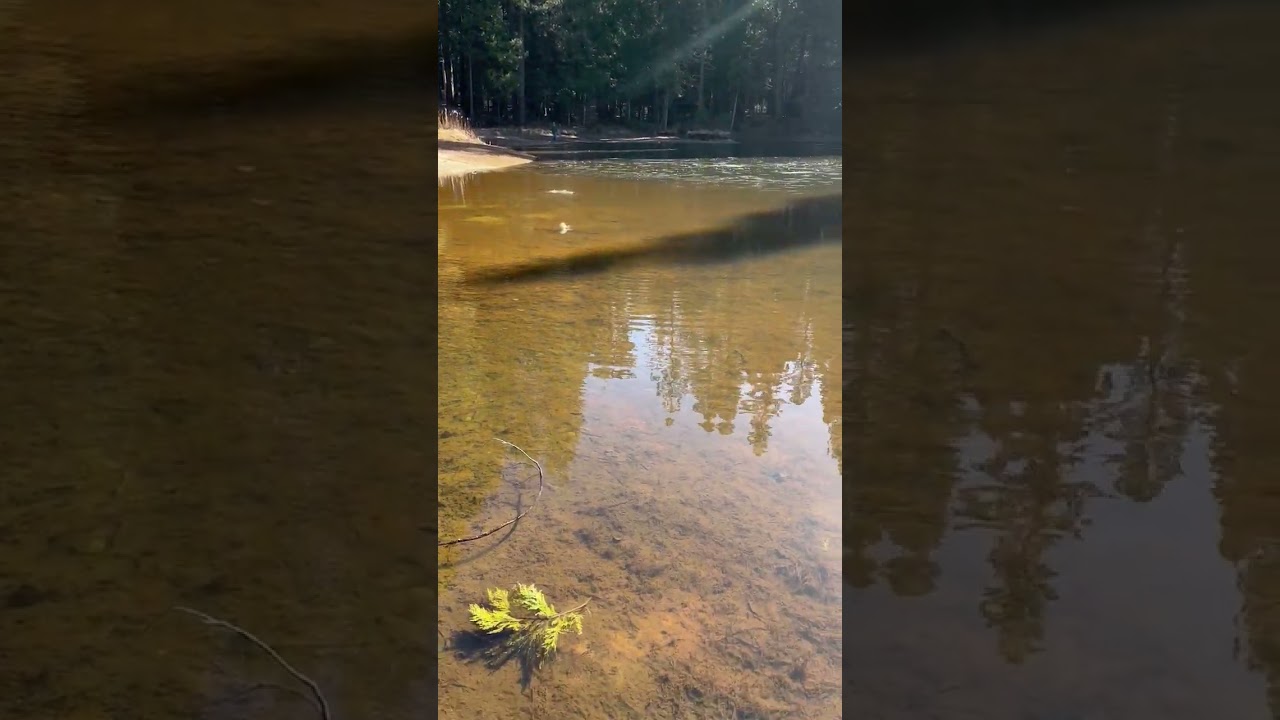 Woah! #rockskipping #stoneskimming #ice #cool #frozen #rocks #ice