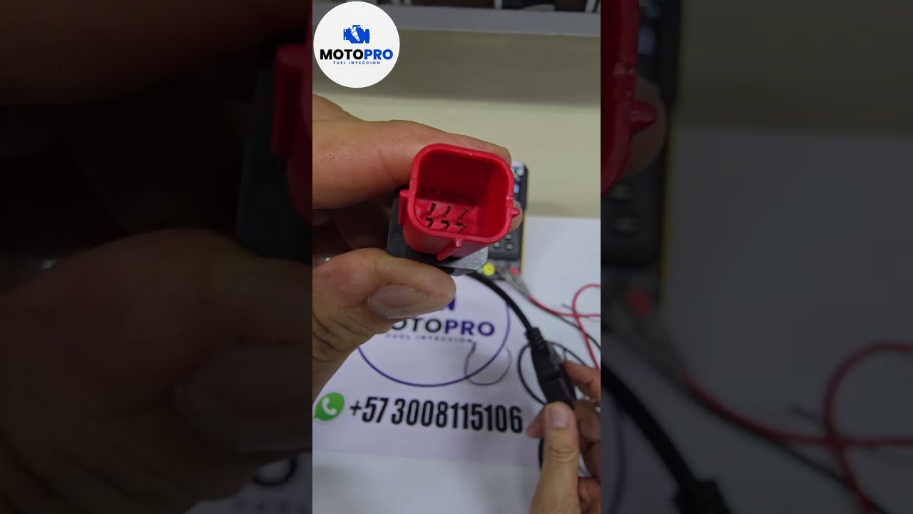 Conector Euro 5: identificación de cada pin.