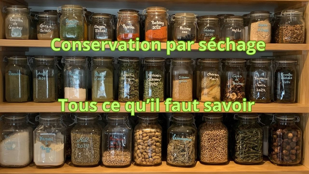 La conservation par séchage, tous ce qu'il faut savoir