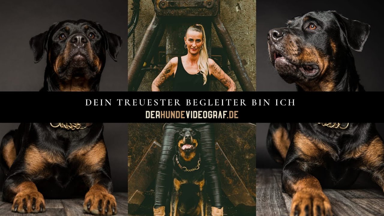 Hundefilm | Dein treuester Begleiter bin ich | Hundeliebe