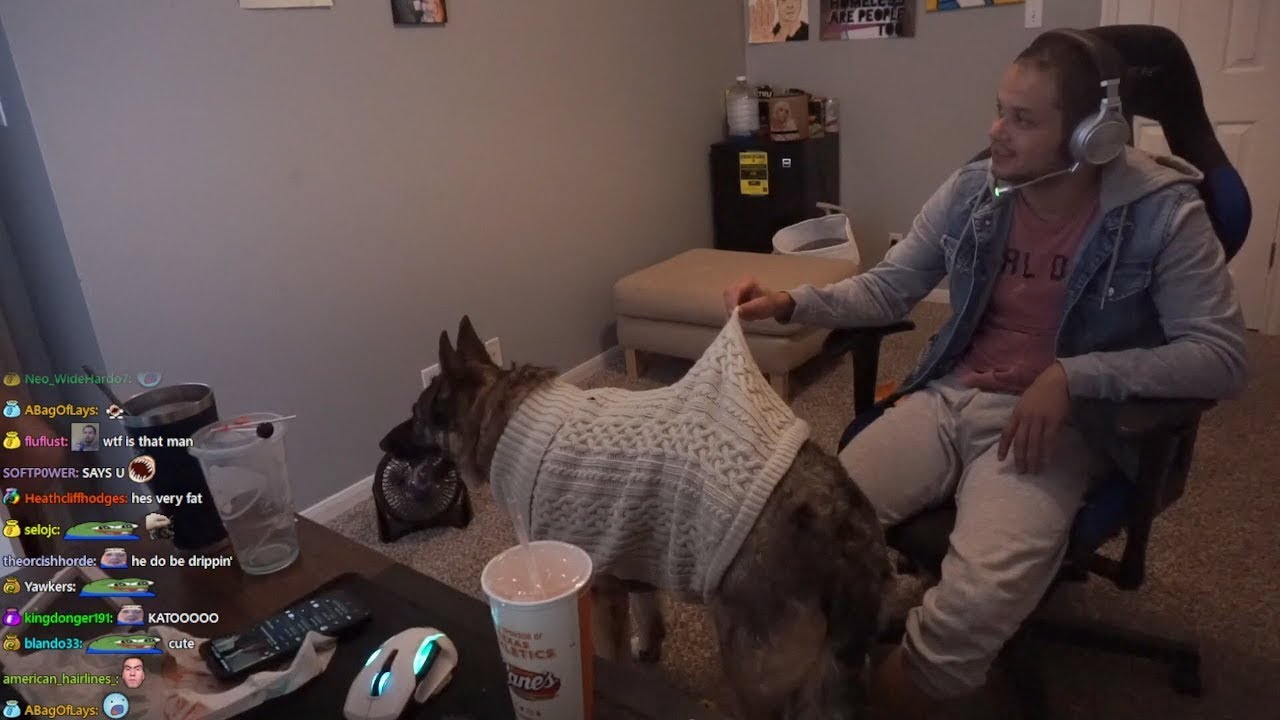 [3/3] 2021-10-25 'GOLLY EROBB221 IS BEING ENTERTAINING'