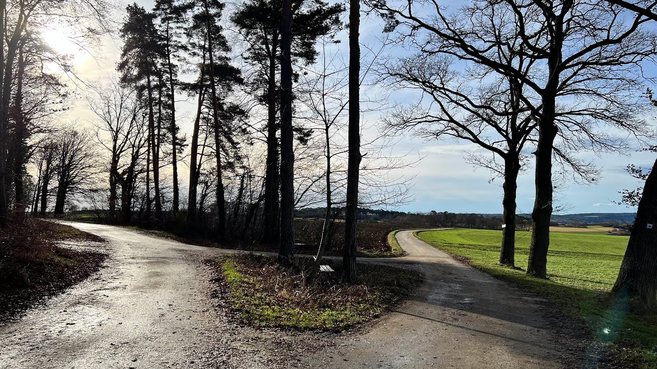 RELIVE: Year End 2022 Walk - Renningen-Malmheim
