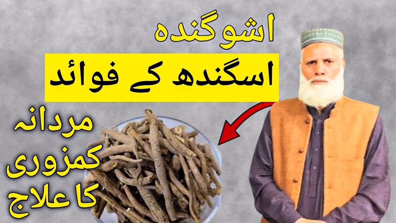 Asgandh (اسگندھ) ka kya faida hain