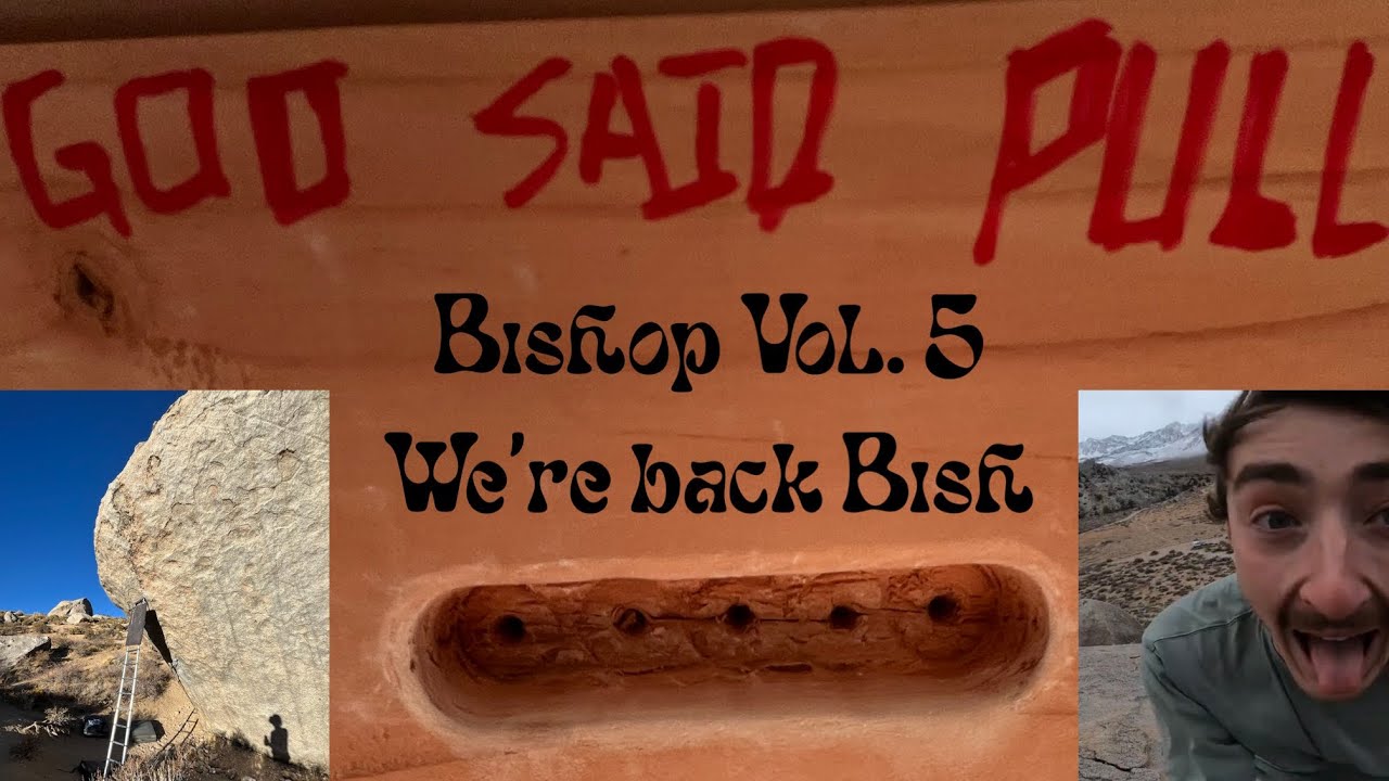 Bishop Vol 5. We’re Back Bish
