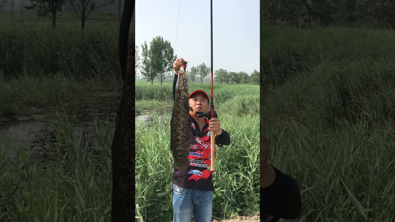New Fishing 2021 | Unique Catching Skill Fishing
