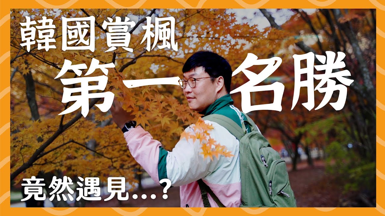 韓國觀光區不要吃這個🍁內藏山賞楓+網美照 | 胃公子 | 胃酸人生活