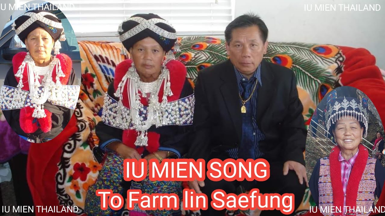 Iu mien song To Farmlin Saefung USA. อิ้วเมี่ยน @iumienstory