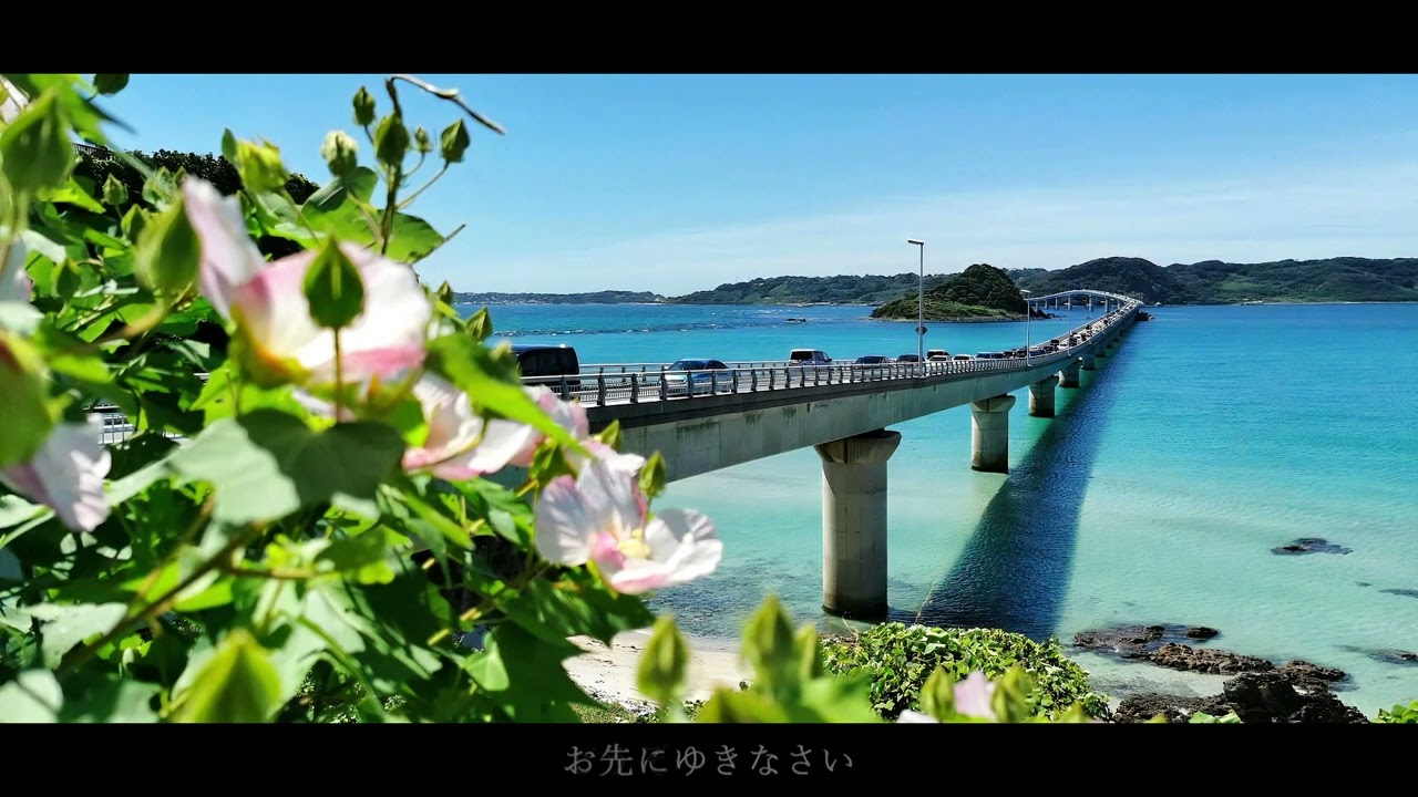 ハナミズキ（feat.一青窈）[remix]