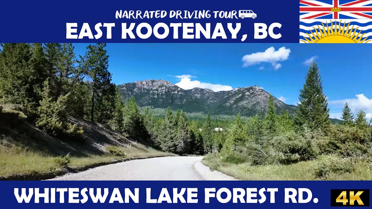 🚙 Whiteswan Lake Forest Service Road, East Kootenay, British Columbia 🚙 4K Drive