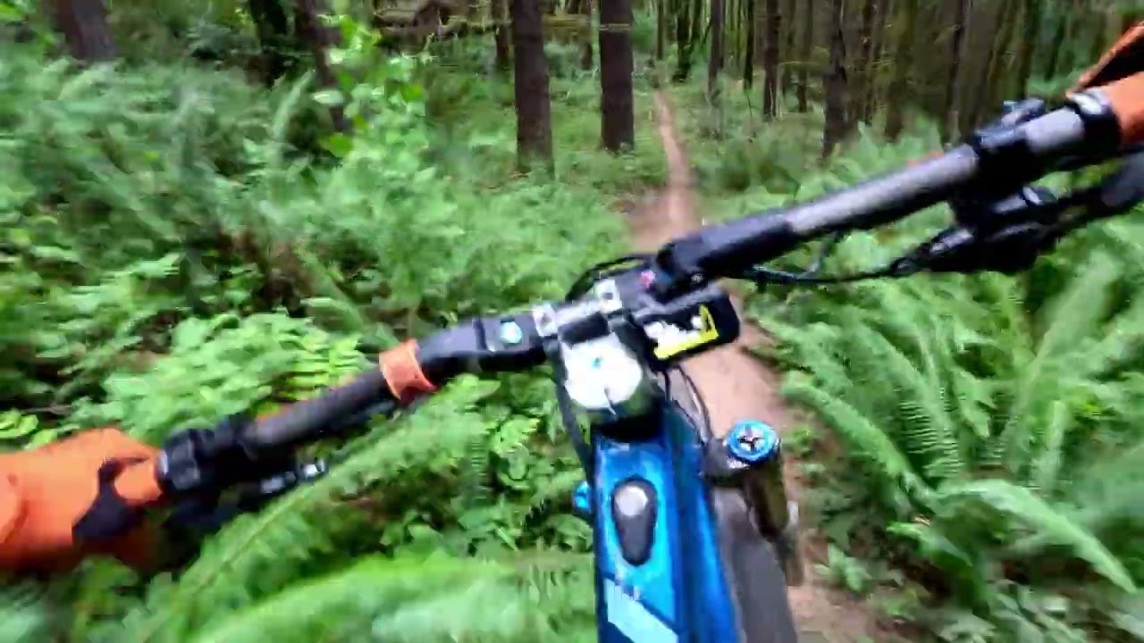 Portland’s Best DH Trail, Phil’s Shred Factory at Rocky Point Trails, Scappoose, Oregon