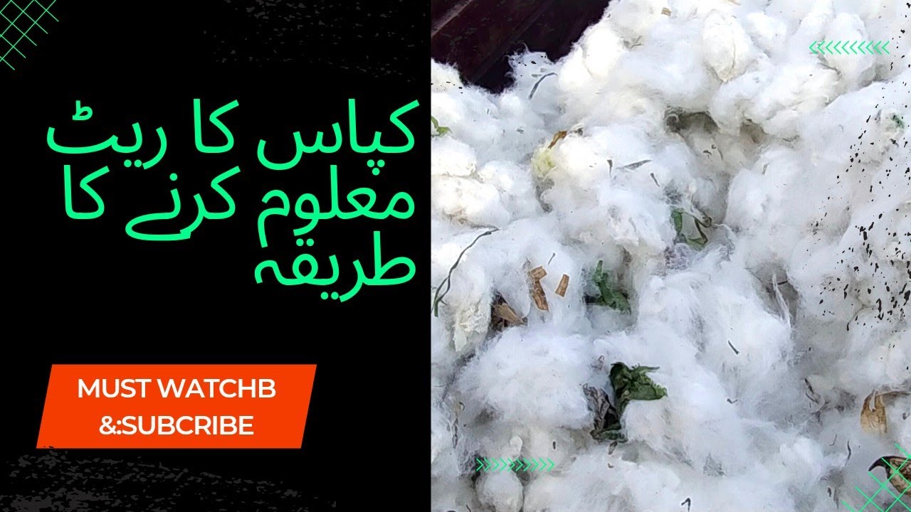 Method of Making Cotton Rate -  کپاس کا ریٹ معلوم کرنے کا طریقہ - Small Business - MehmoodAhmed