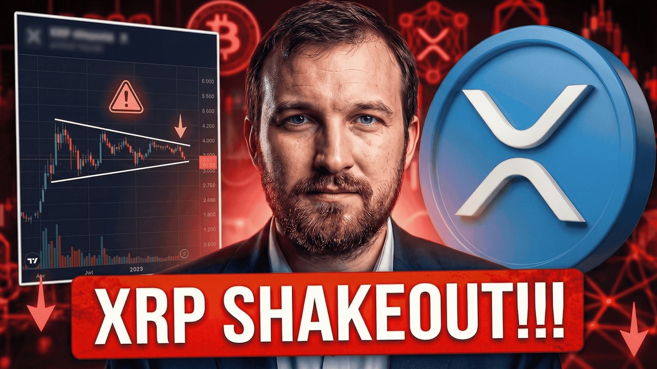 EXPECT XRP PULLBACKS & SHAKEOUTS ON THE WAY UP - WARNING GET YOUR XRP OFF EXCHANGES - XRP NEWS