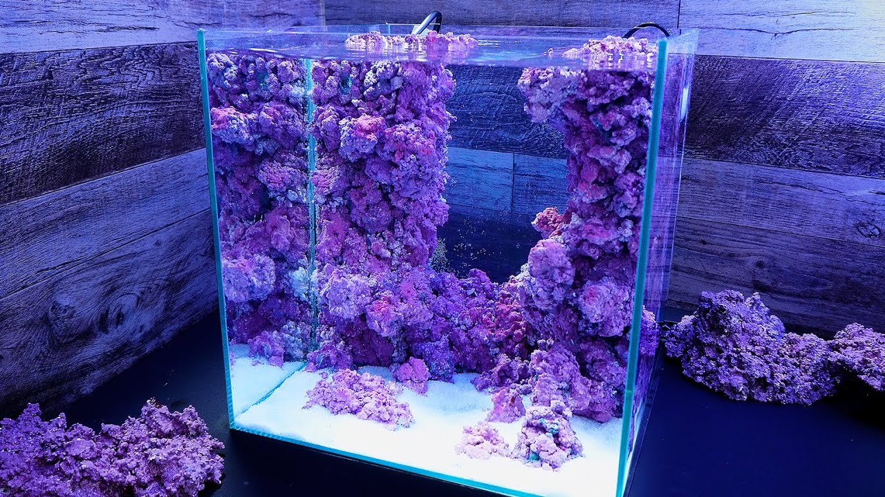 【海水魚】ヤギが生い茂りハナダイが乱舞するような深場の海中を作る【人工ライブロック】