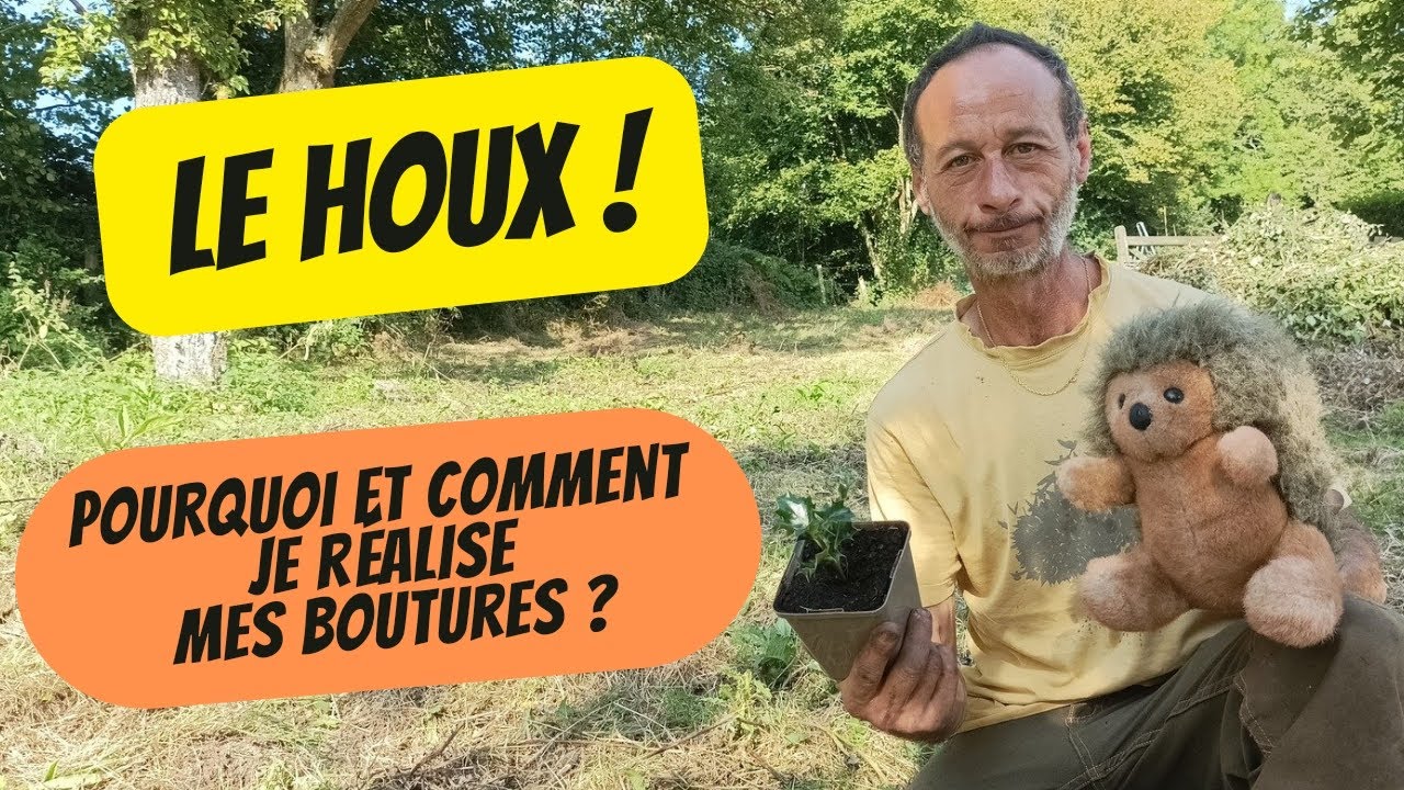 Le Houx ! Pourquoi et Comment je réalise mes Boutures !