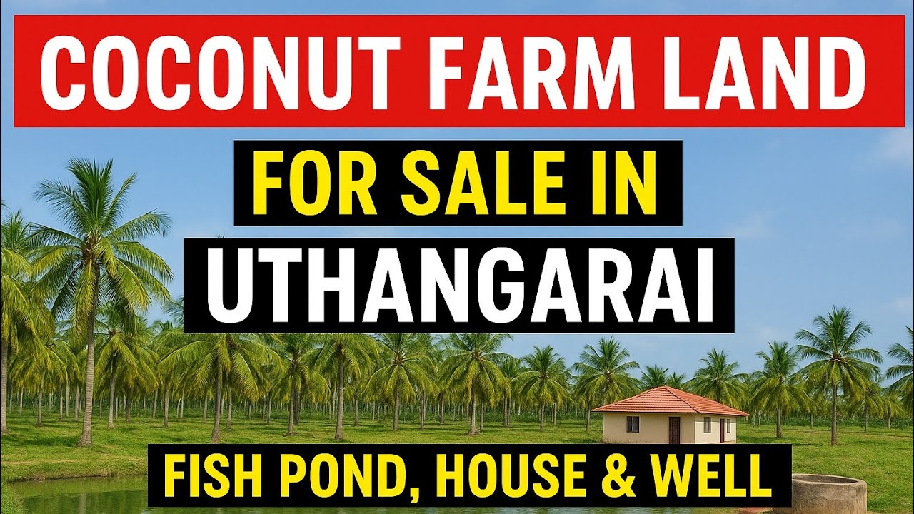 🌴 Coconut Farm Land for Sale in Uthangarai | Fish Pond, House & Well | Just ₹22 Lakhs 😍 | Dot Estate