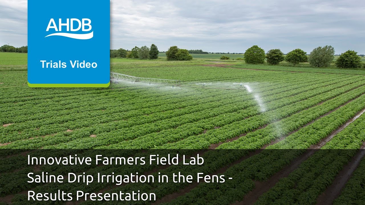 Innovative Farmers Field Lab Saline Drip Irrigation in the Fens - Results Presentation
