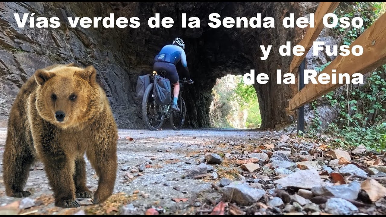LA SENDA DEL OSO