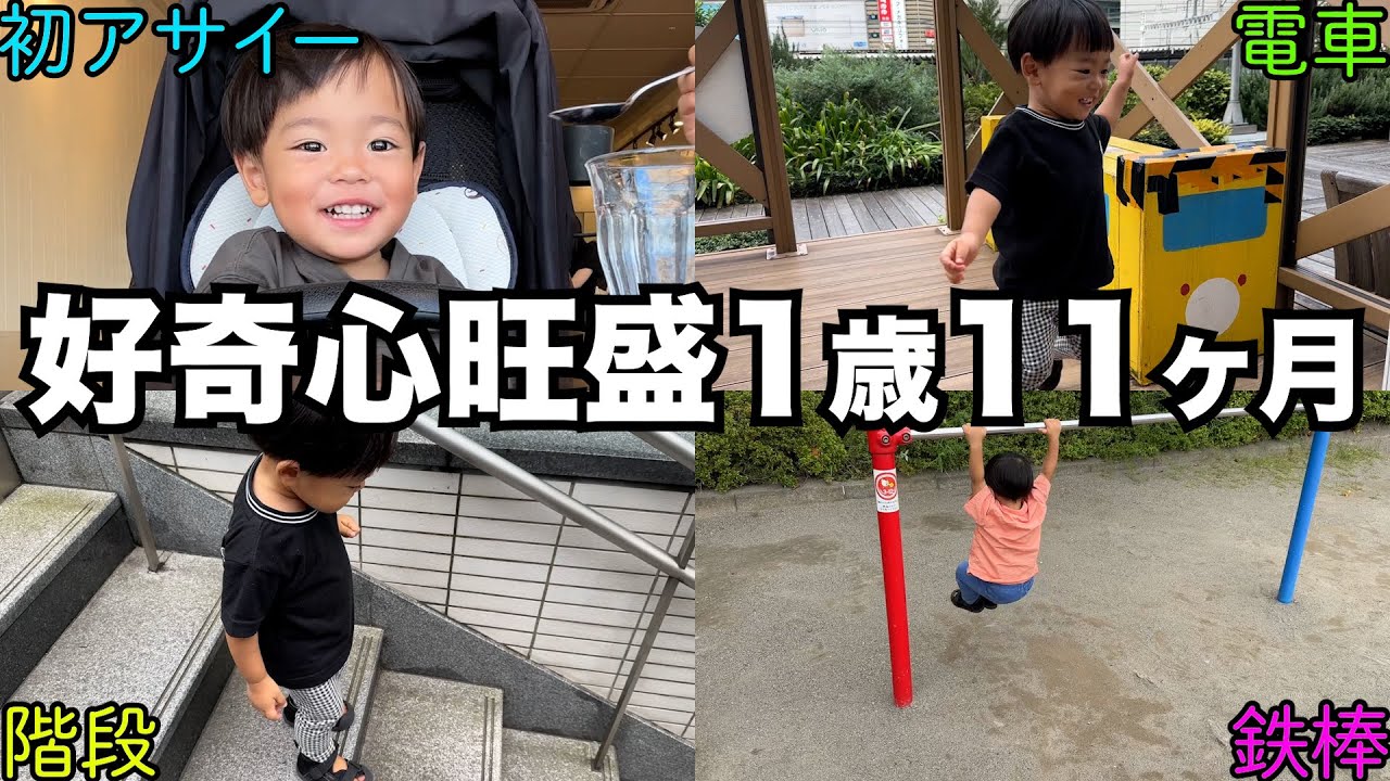 【1歳11ヶ月】好奇心旺盛な電車大好き男の子【シンママ】