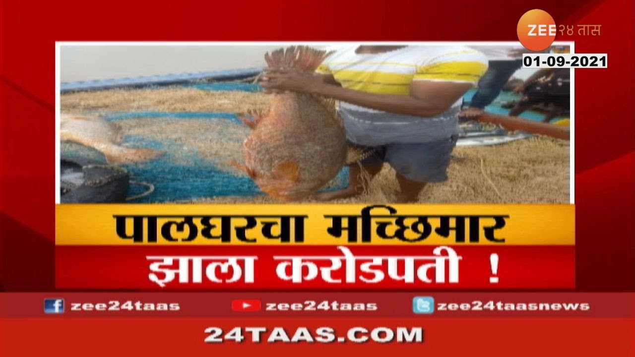 Special report | पालघरचा मच्छिमार झाला करोडपती !