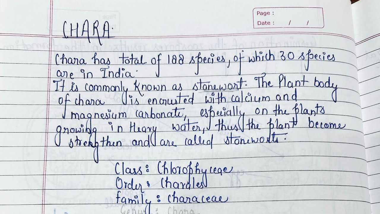 General Features of Chara #algae 