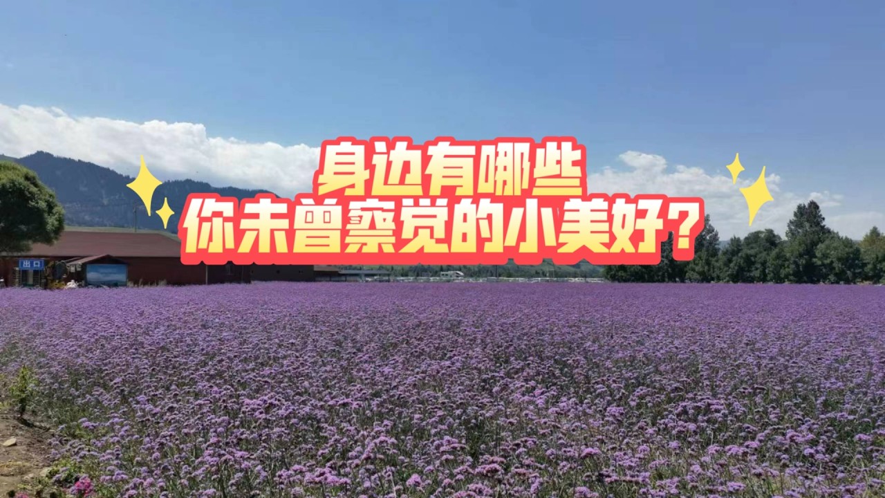 身边有哪些你未曾察觉的小美好？(不限时空)