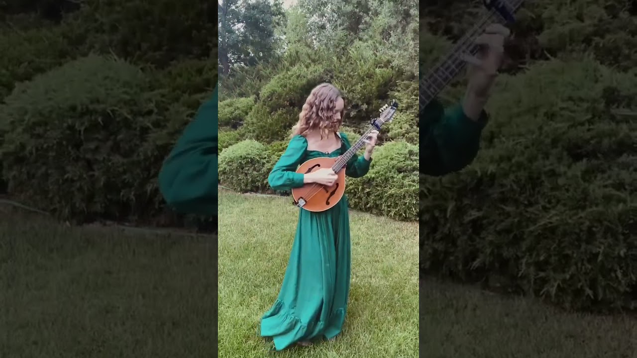 Whiskey in the Jar #shorts #mandolin