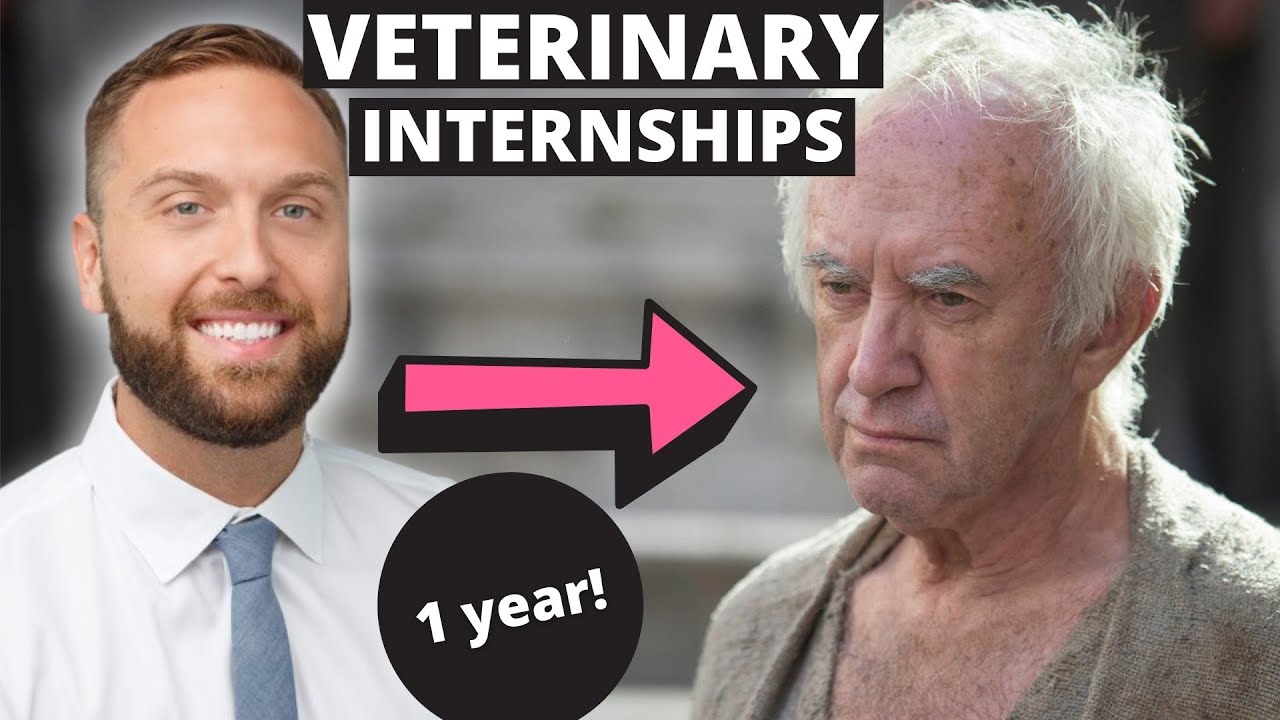 Veterinary Internships (Real Talk)