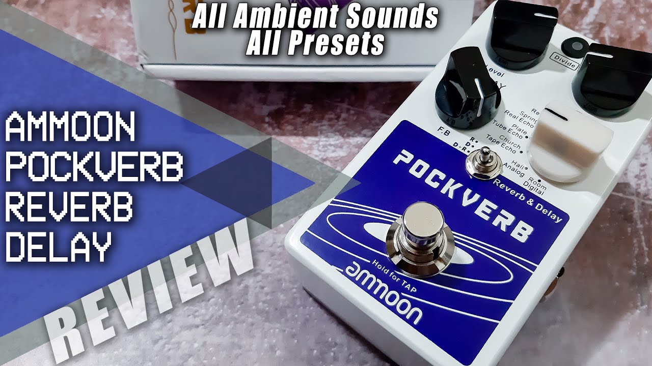 AWESOME Cheap DELAY REVERB | AMMOON Pockverb | All The Presets VIDEO REVIEW [NO TALK]