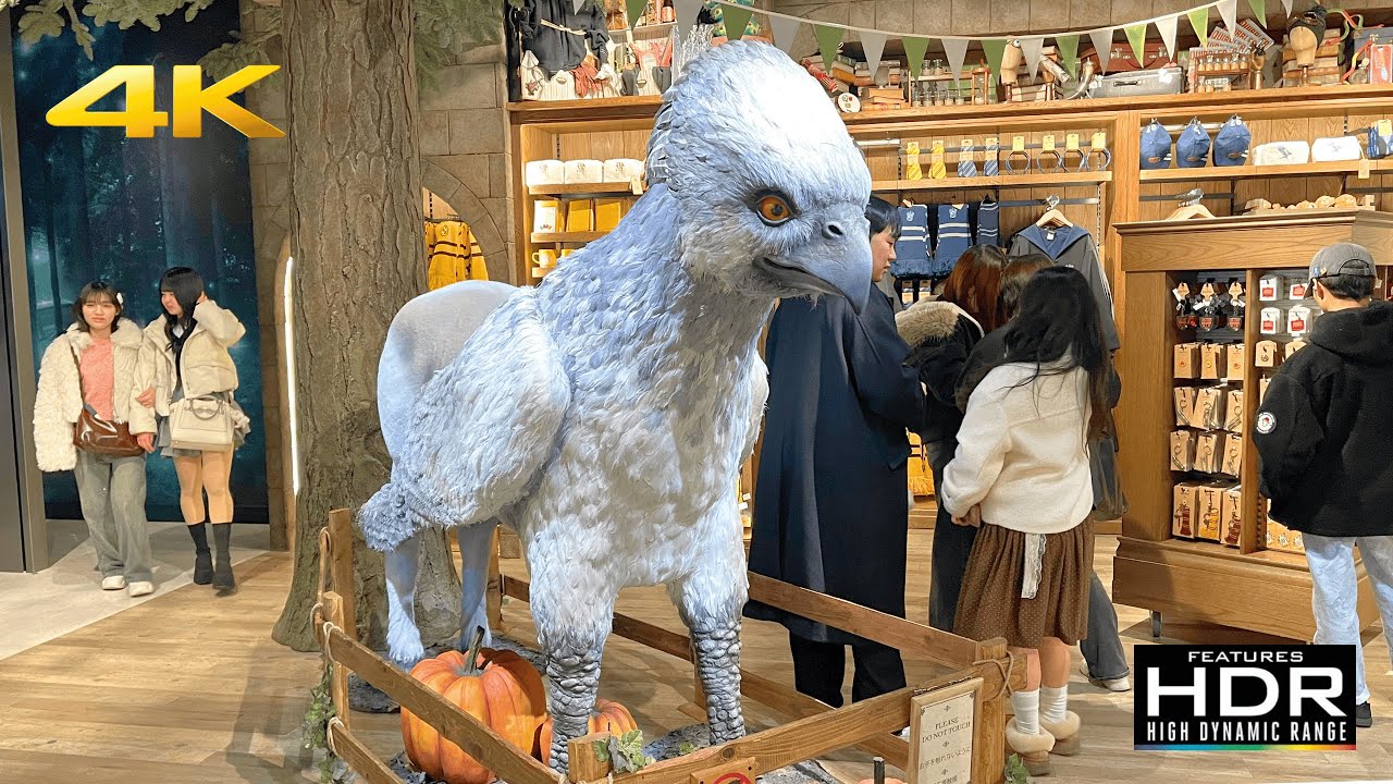 🪄🦉 I Finally Went to the NEW HARRY POTTER OFFICIAL STORE in Tokyo | I Wasn't Ready! 🤩