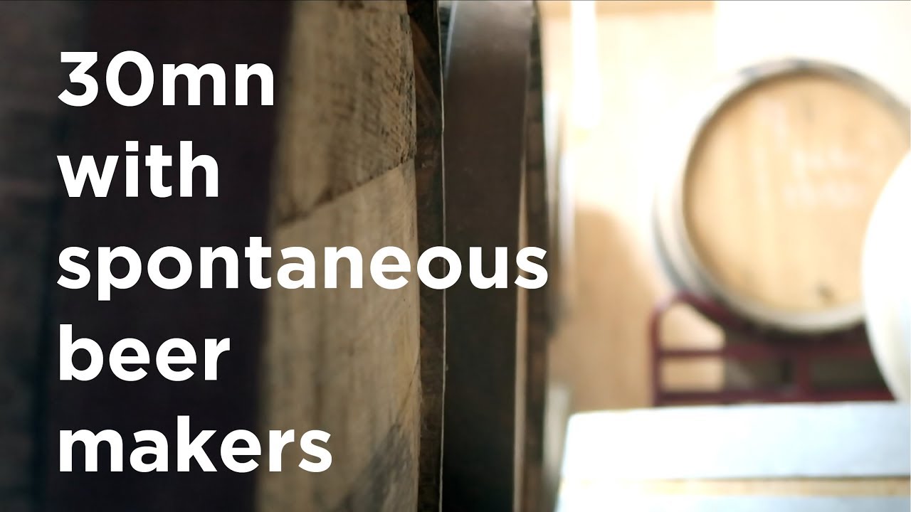 30mn with spontaneous beer makers