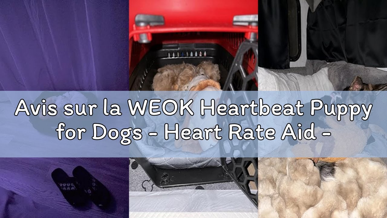 Avis sur la WEOK Heartbeat Puppy for Dogs - Heart Rate Aid - Helps Relieve Anxiety and Soothe Heart