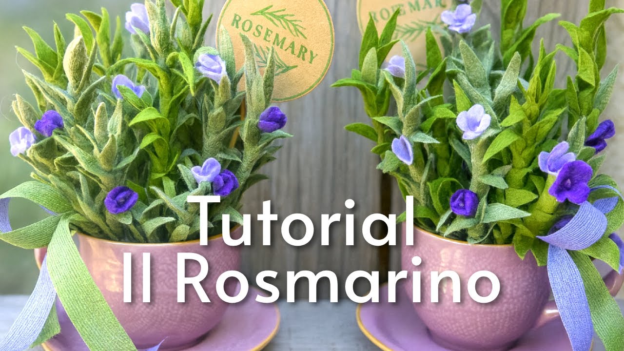TUTORIAL IN DIRETTA - IL ROSMARINO