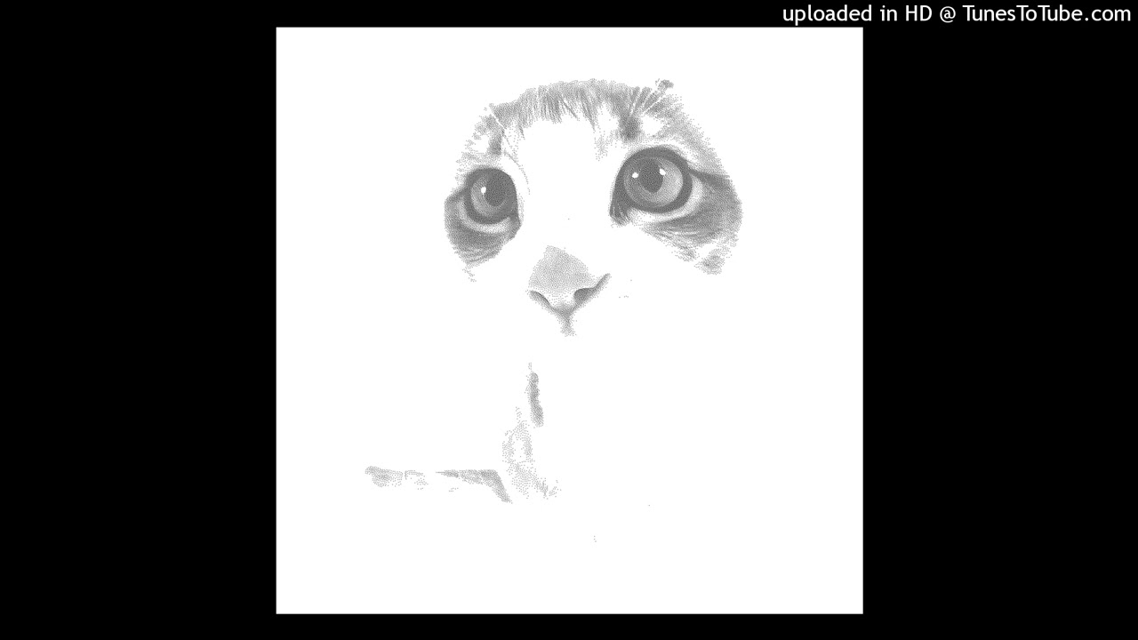 250815 with sentimento ver2