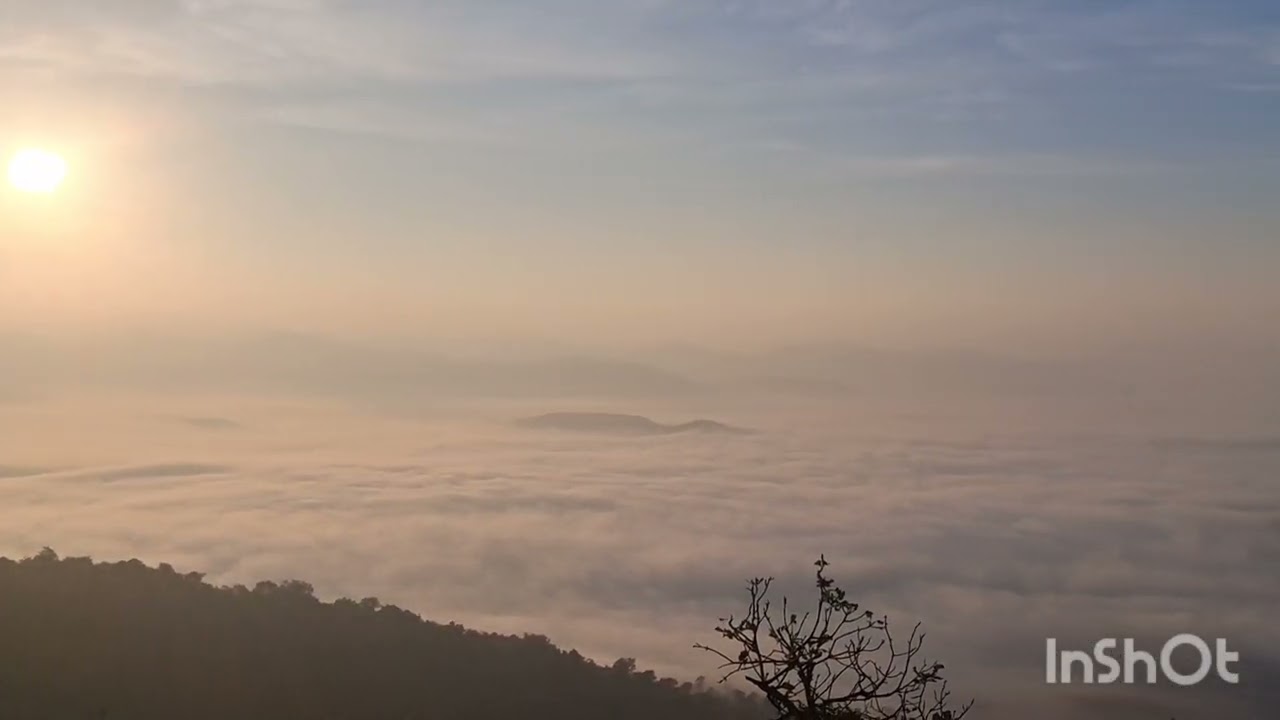 Foggy Morning, Chill Wind