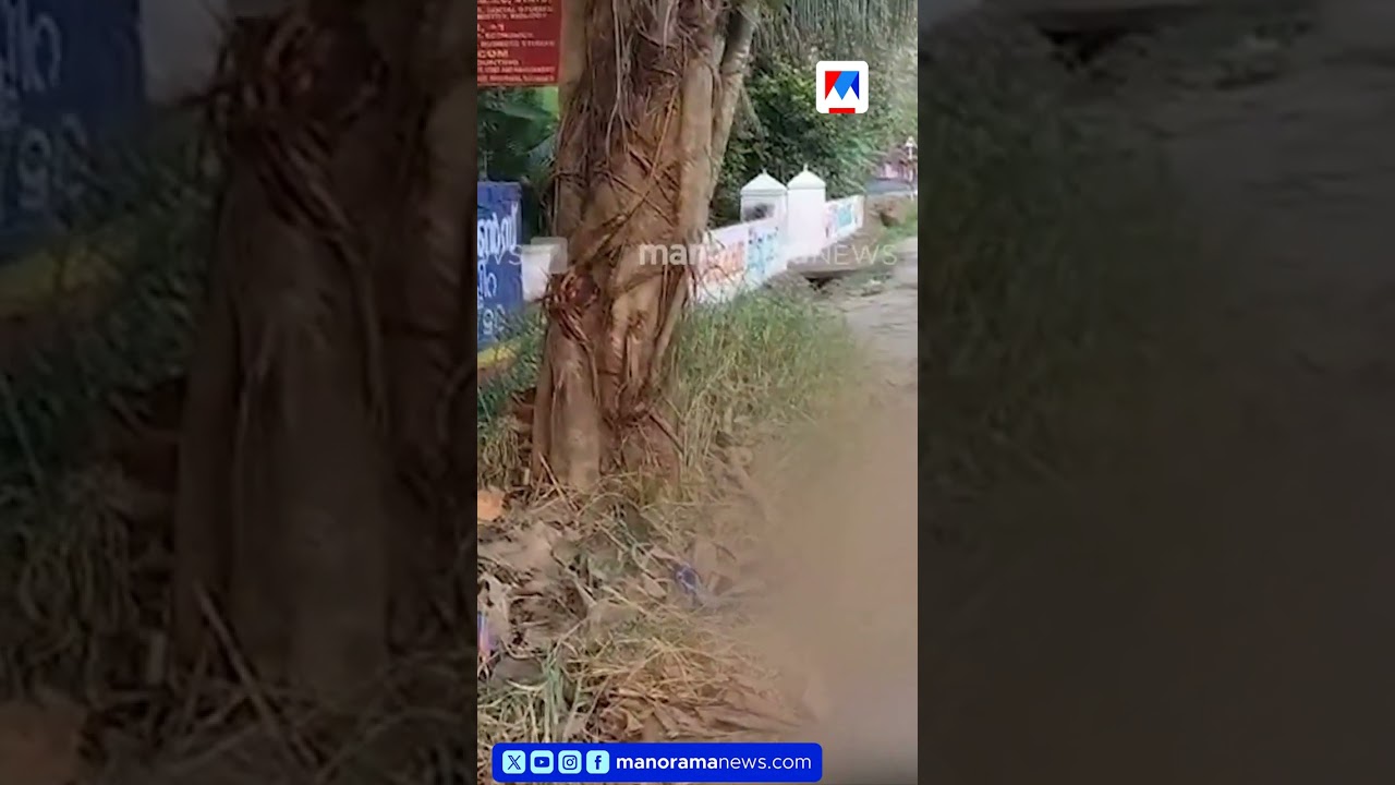 ബൈക്ക് മരത്തിലിടിച്ചു; രണ്ട് യുവാക്കൾ മരിച്ചു  