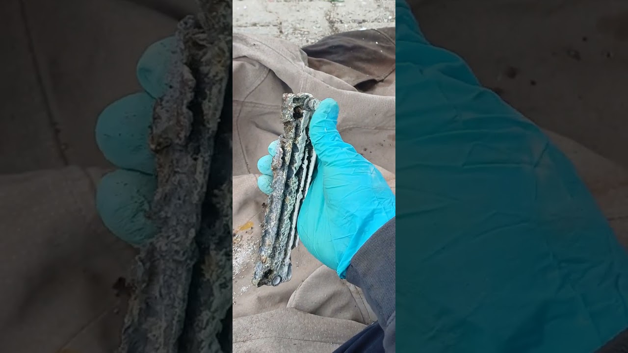 tutya (anot) ne işe yarar