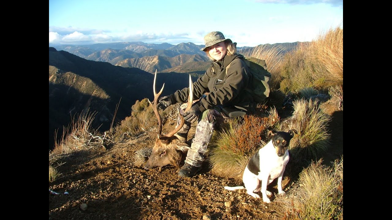 Backridge Butcher Sika Roar 2015
