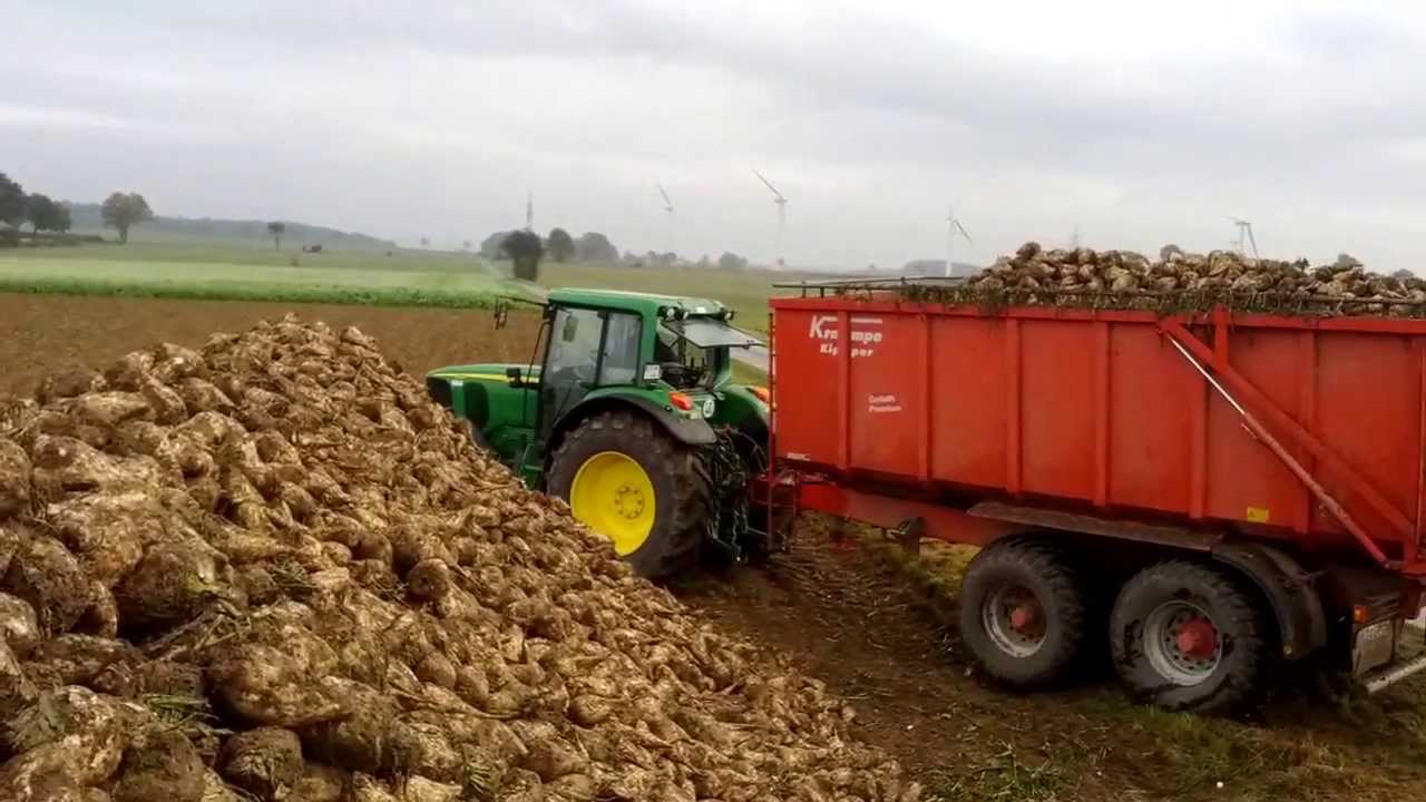 John Deere 6520  Rüben roden