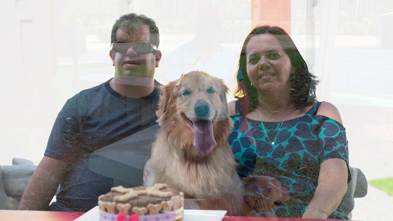 Criador Legal: A import&acirc;ncia do C&atilde;o-Guia