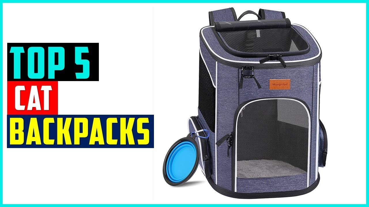 ✅Best Cat Backpacks In 2022-Top 5 Best Cat Carrier Backpacks Review