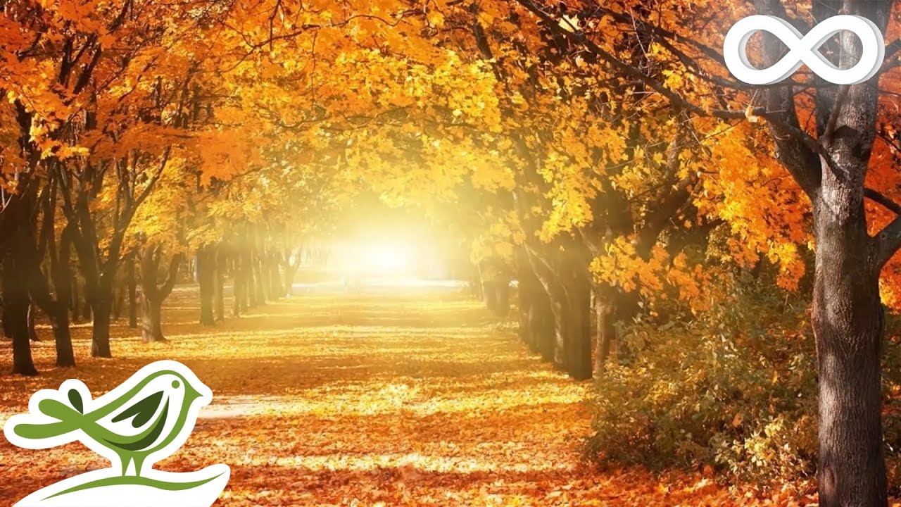 Beautiful Relaxing Music &bull; Romantic Music, Piano Music, Violin Music, Cello Music, Sleep Music #93