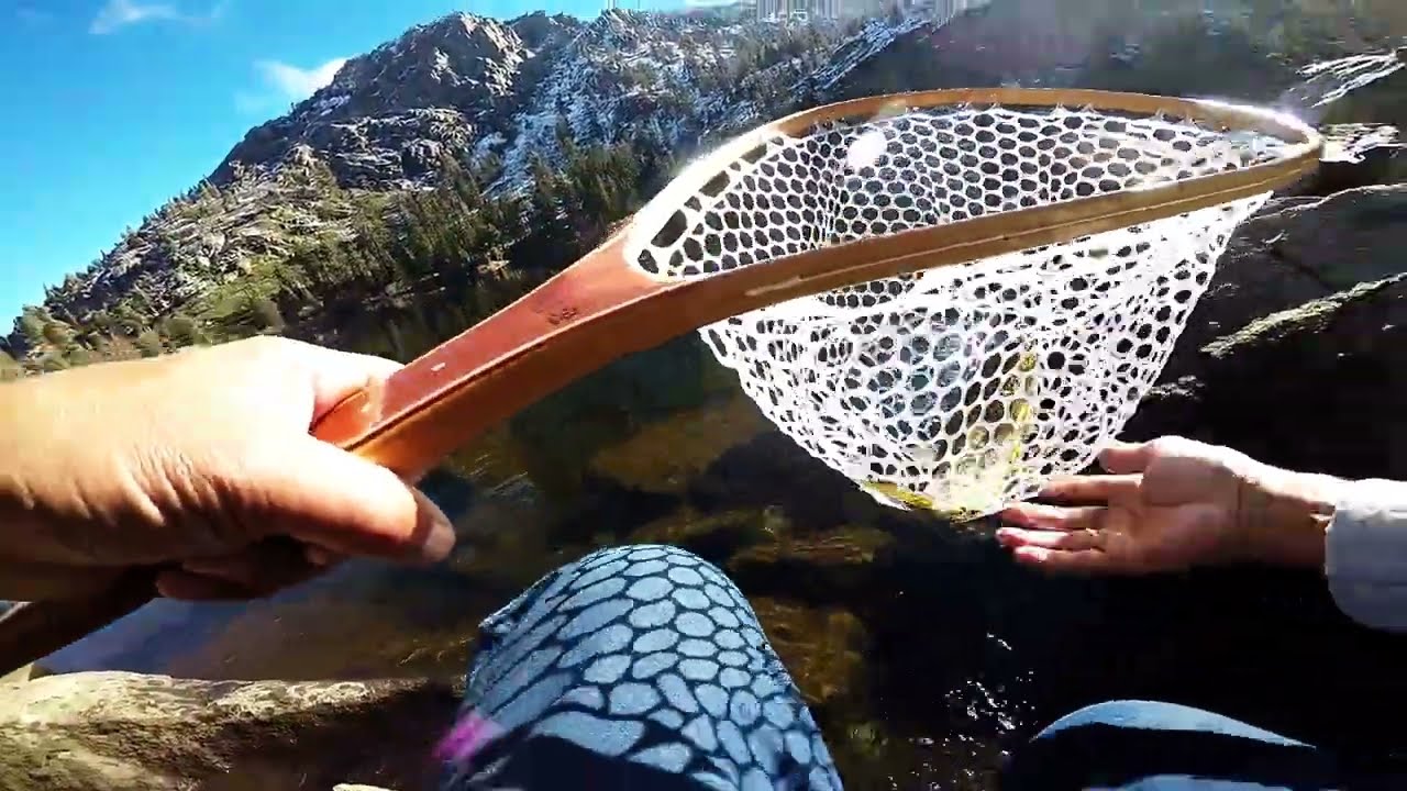 Форель на озере Игл поздней осенью, до того как её закроет лёд (Desolation Wilderness)
