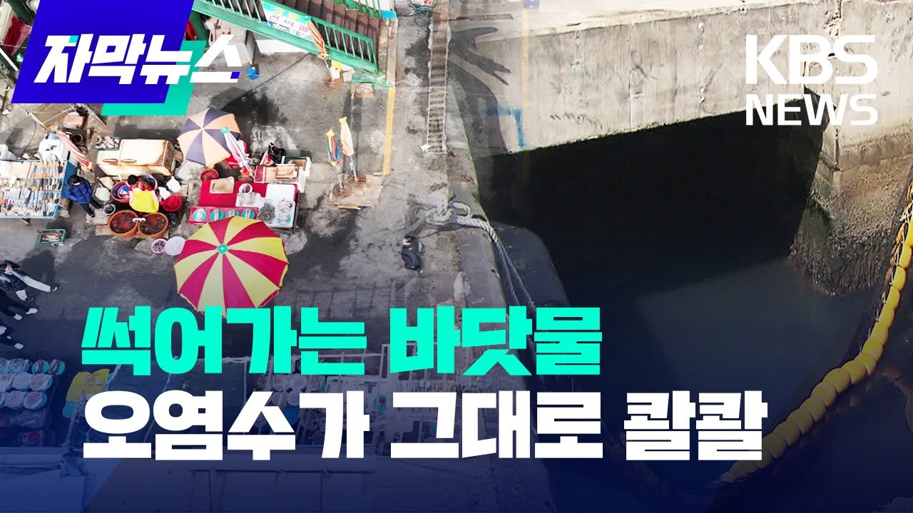 [자막뉴스]  썩어가는 바닷물...오염수가 그대로 콸콸 / KBS  2023.03.13.