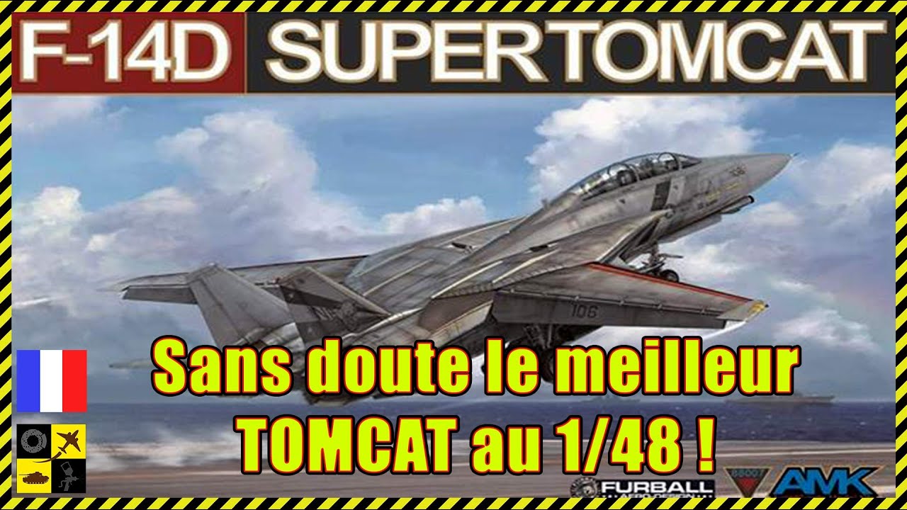 ⭐️ Revue: F-14D SUPERTOMCAT AMK 1/48