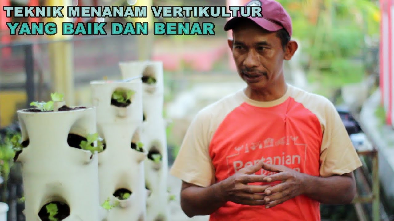 Teknik Menanam Metode Vertikultur yang Baik dan Benar