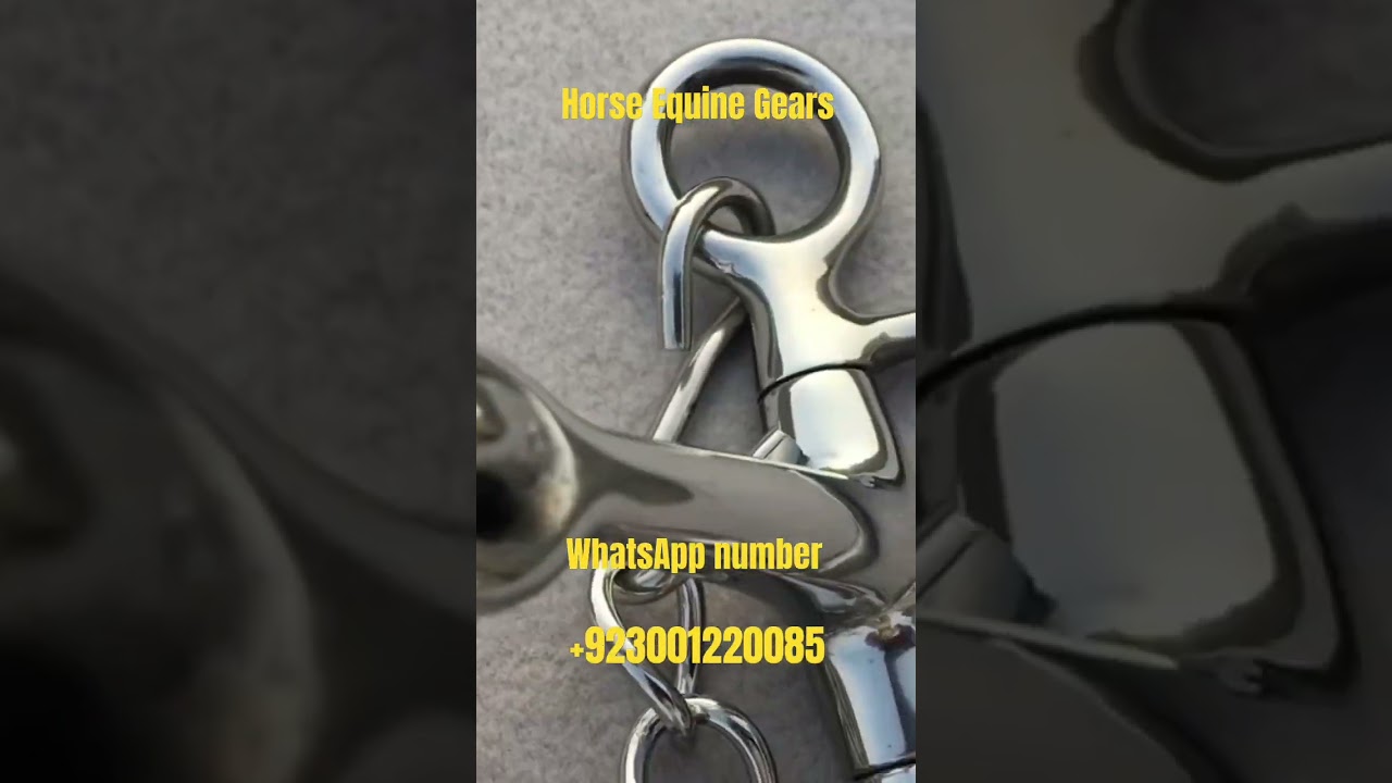 Stainless Steel Horse Bits Long Pelham Bit With Curb Chain Horse Equipment 5 Inches