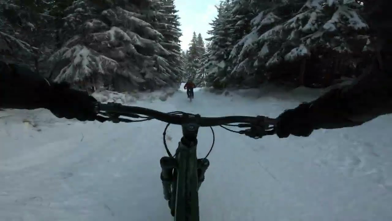 Hole s Lacom - divocina